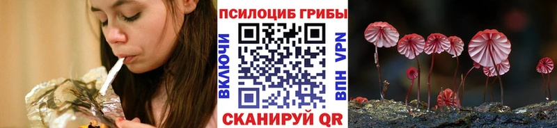 Галлюциногенные грибы MAGIC MUSHROOMS  где найти наркотики  Краснодар 