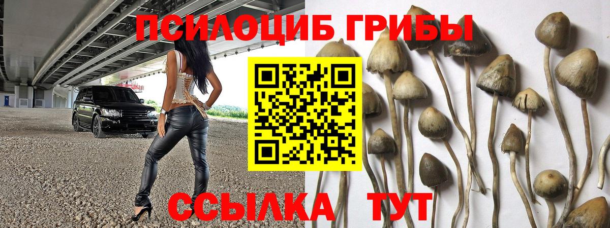Галлюциногенные грибы GOLDEN TEACHER  Вход с VPN  Краснодар  Псилоцибиновые грибы Magic Shrooms 