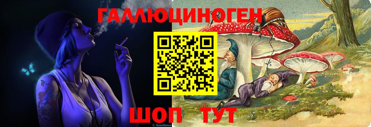 Галлюциногенные грибы Psilocybine cubensis Краснодар