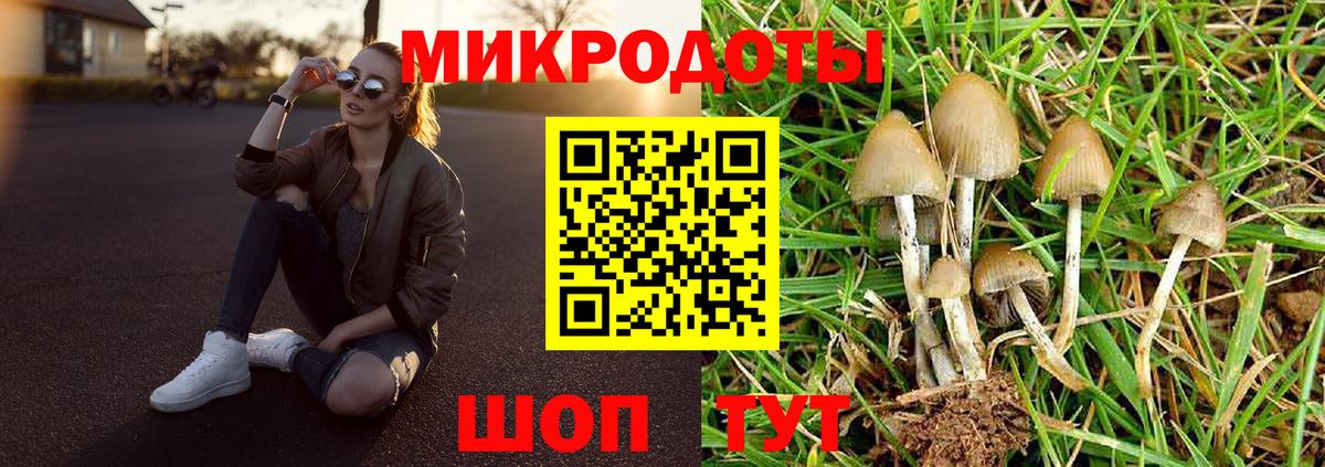 закладки  Краснодар  Галлюциногенные грибы MAGIC MUSHROOMS  Галлюциногенные грибы Magic Shrooms 